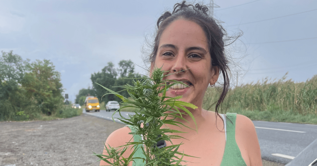 Hanf in Rumänien – von der Tradition zur nachhaltigen&nbsp;Zukunft